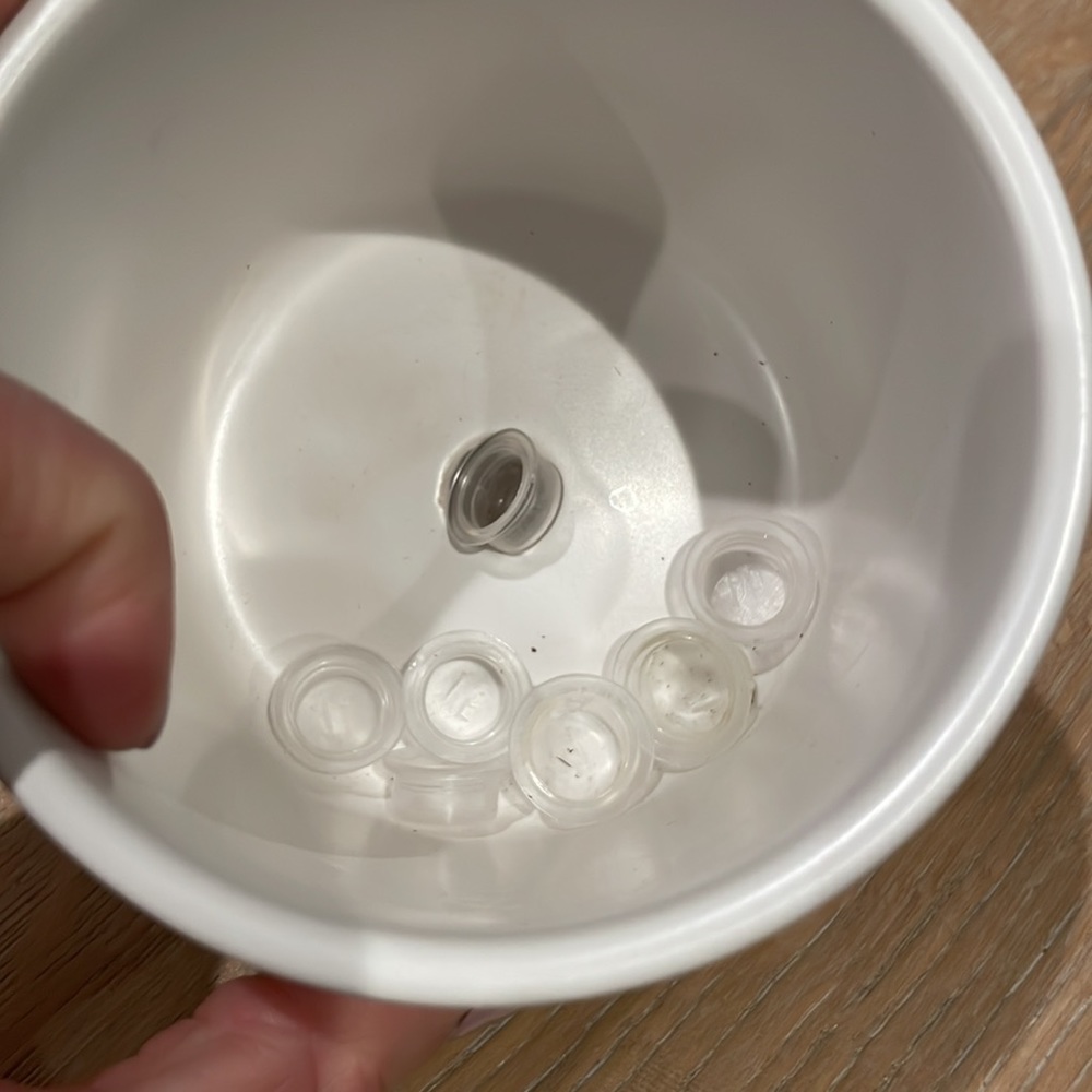 Spade to Fork Seed Kit - Picture 9 of 9